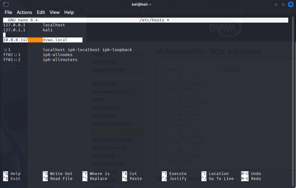 DNS resolution on Kali