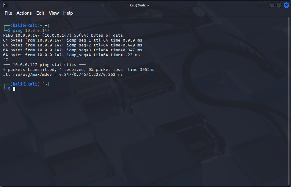 Ping from Kali